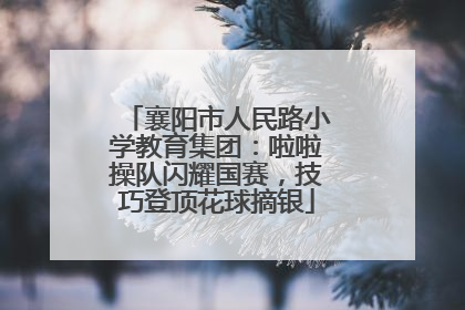 襄阳市人民路小学教育集团：啦啦操队闪耀国赛，技巧登顶花球摘银